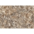 Плитка настенная керамическая ФИЛЬДА TP304506АBS 30*45 см. коричневая