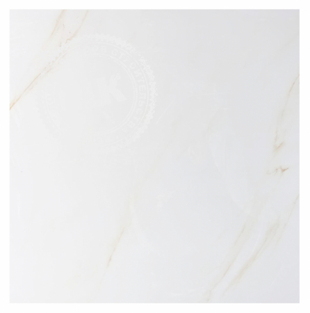 Керамогранит Fire Dance Light 60*60 см. Иран